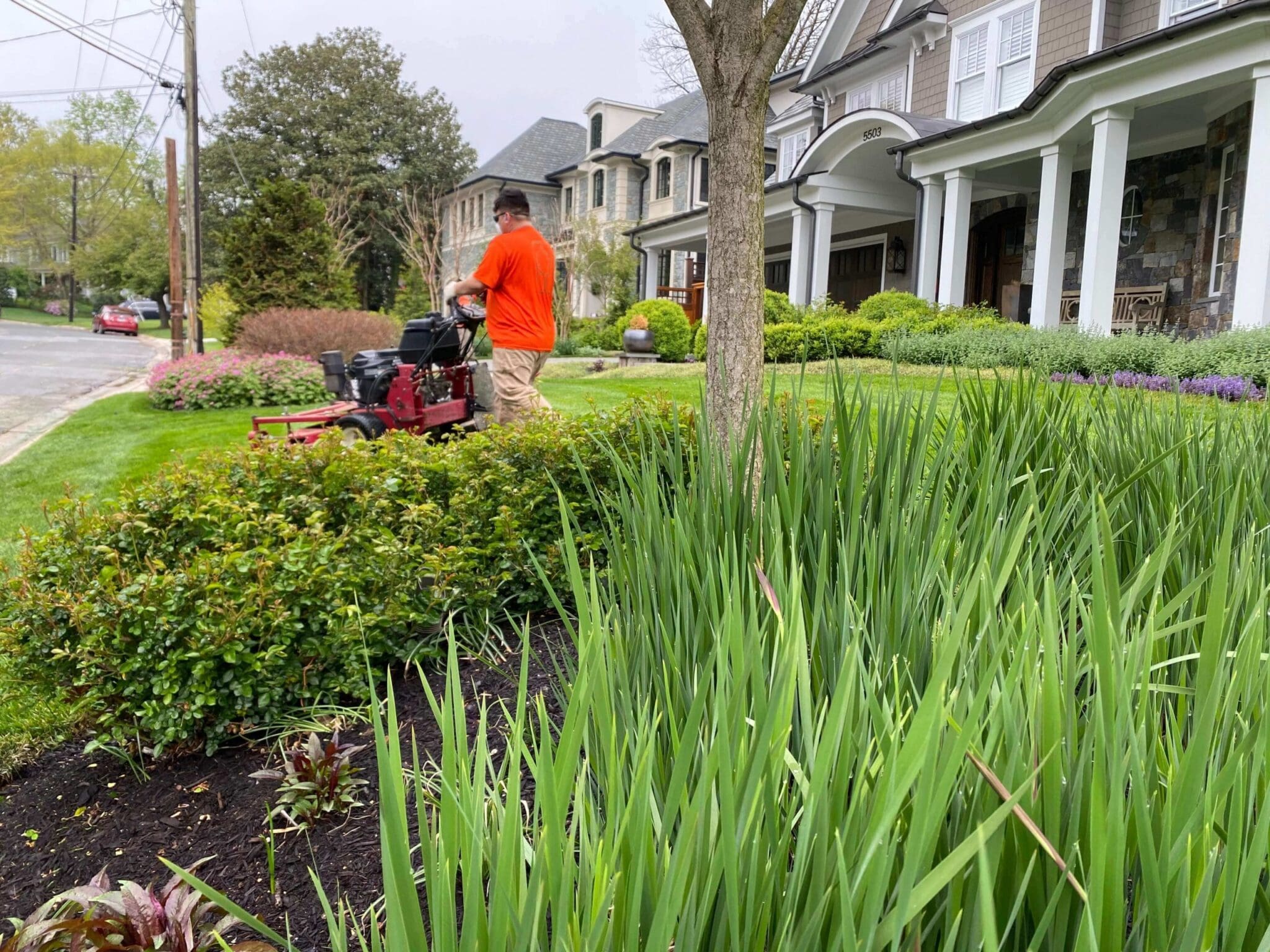 mowing lawn in a natural landscape