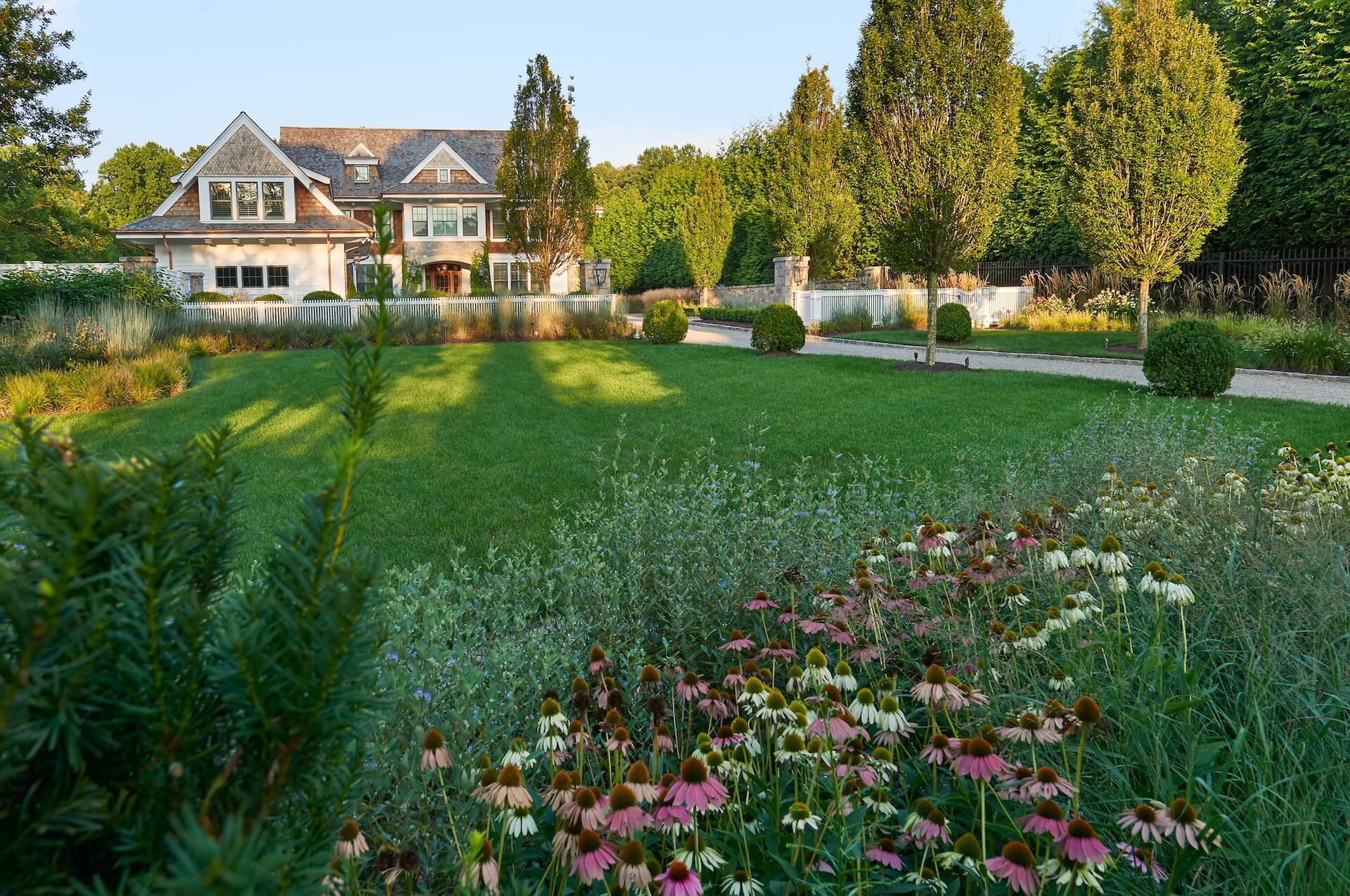 garden design with cultivars and natives in McLean VA_Alberto
