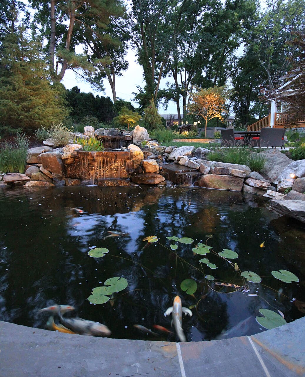 garden koi pond with waterfall