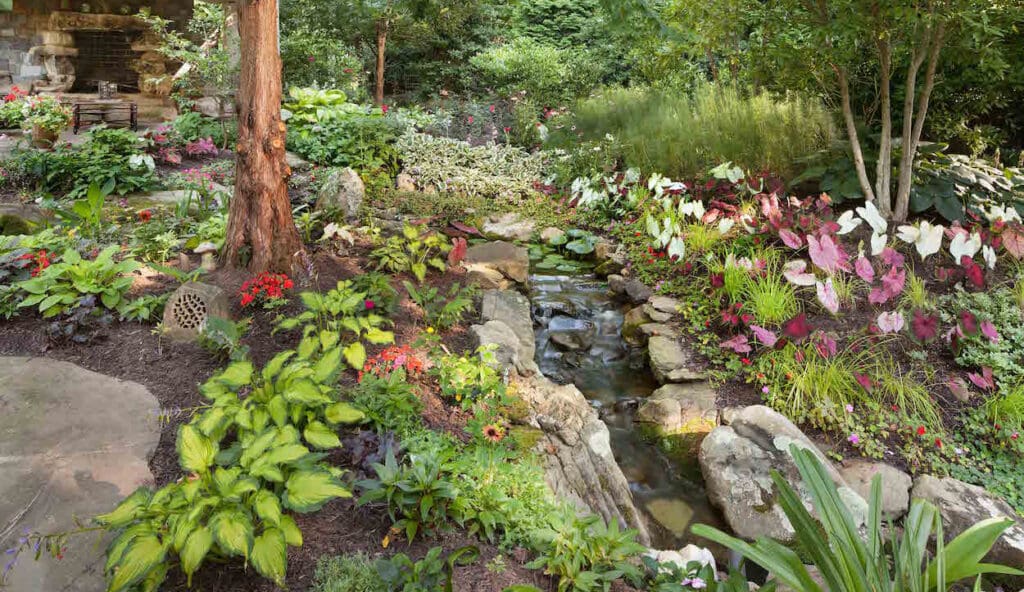 andscape maintenance of woodland flower Garden and Brook