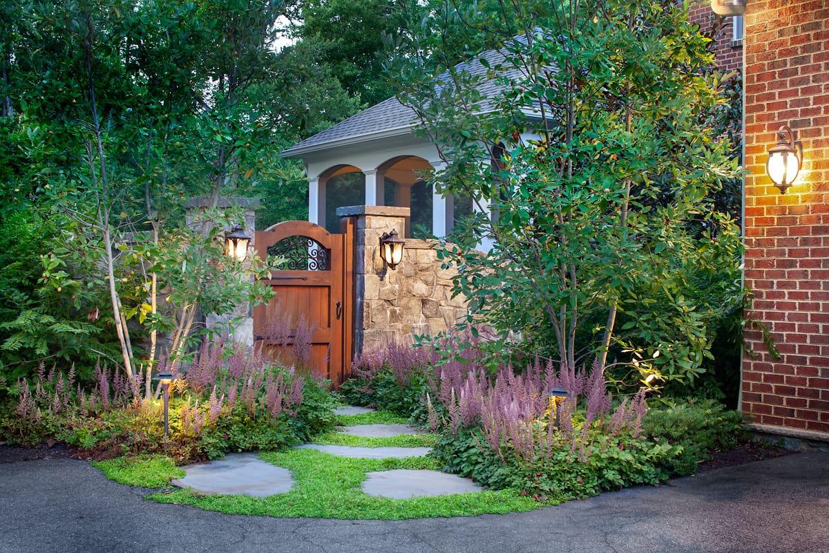 native perennials and groundcover