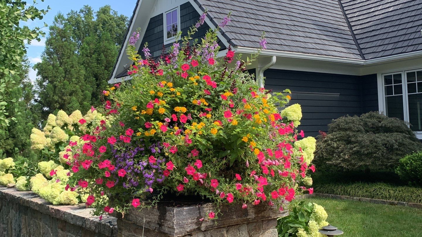 Planting container bursting with colorful annual flowering plants