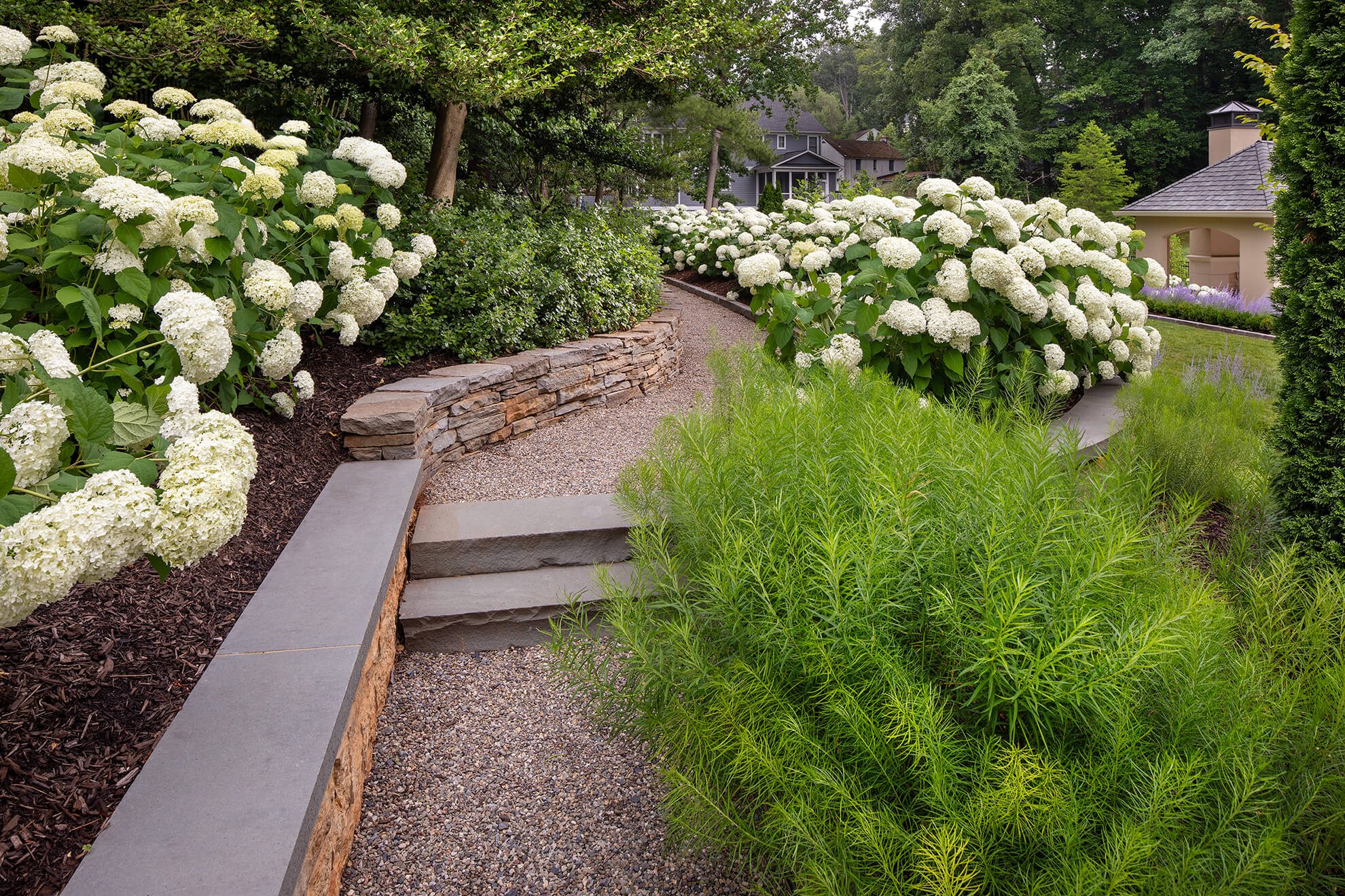 a pea gravel path bordered by a low stone wall and closely overhanging plantings