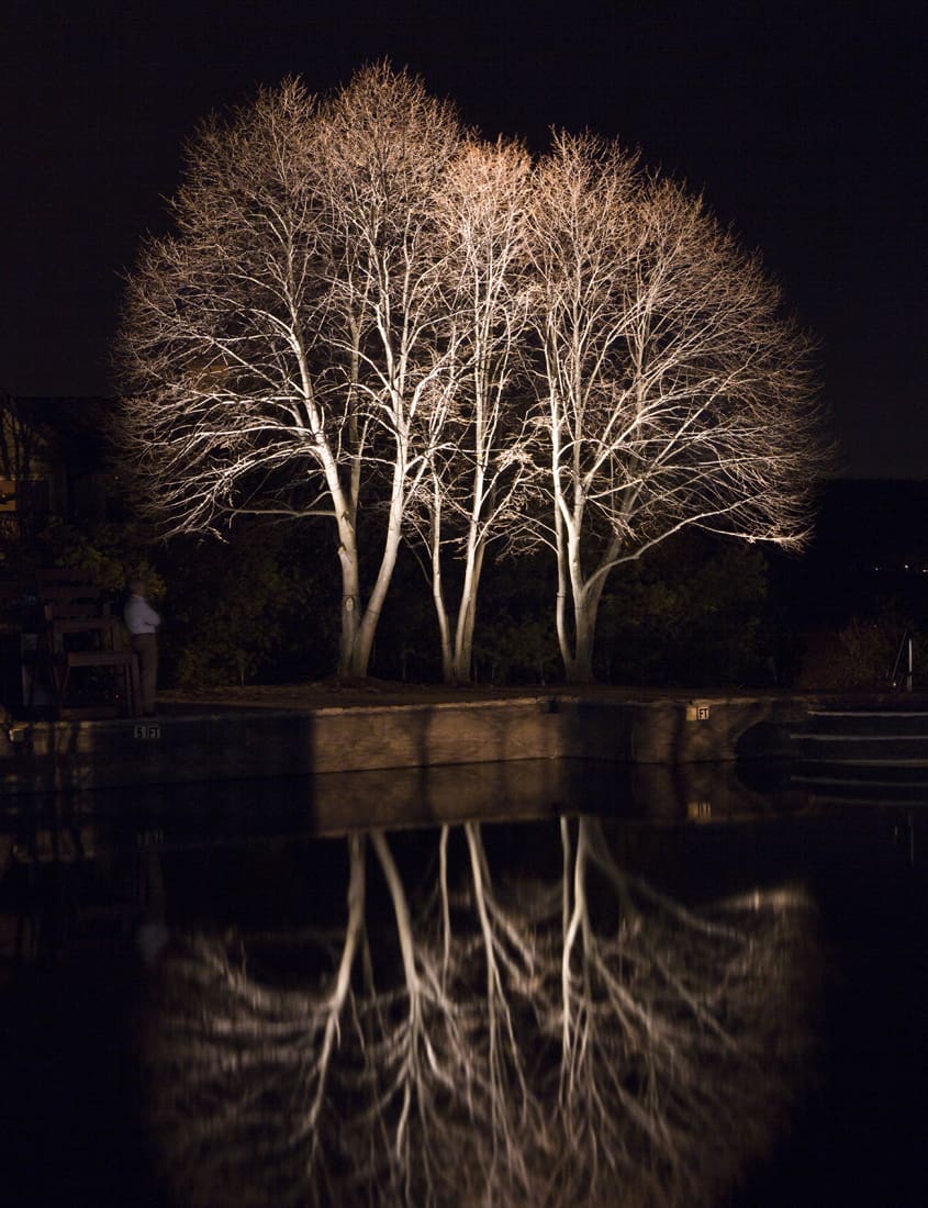 outdoor lighting on tree reflecting in pond