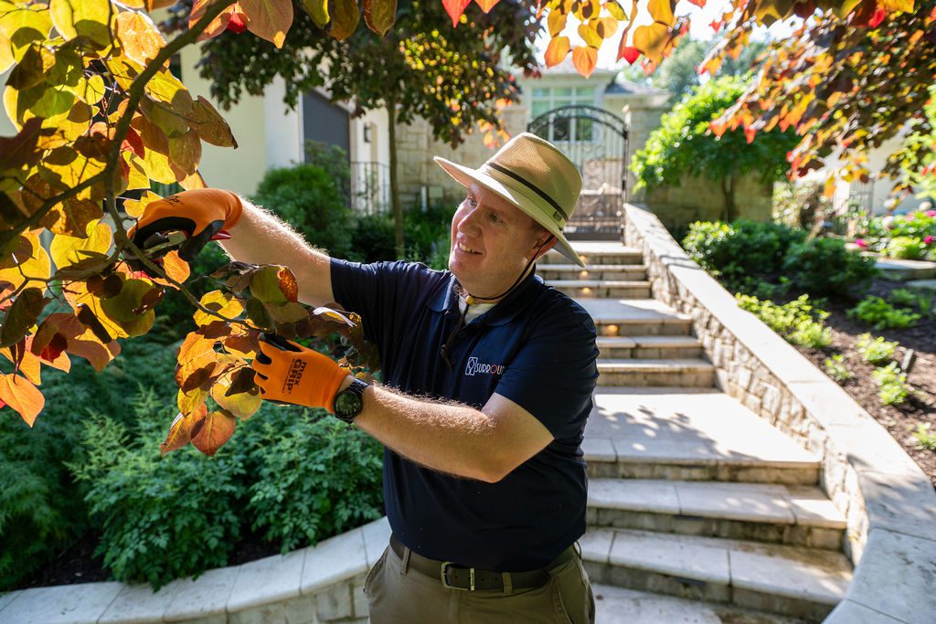 garden manager performing late spring pruning services
