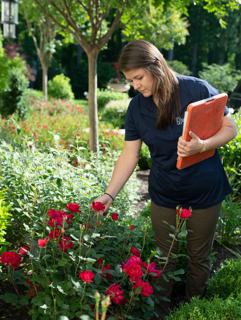 garden manager checks health of perennial beds